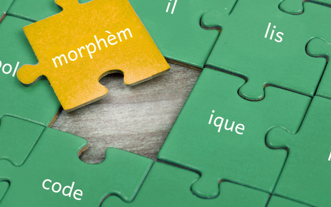 Pourquoi les connaissances morphologiques sont essentielles à la fluidité et à la compréhension en lecture